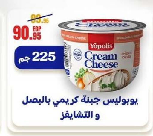 Onion Chives available at Géant Egypt in Egypt - Cairo