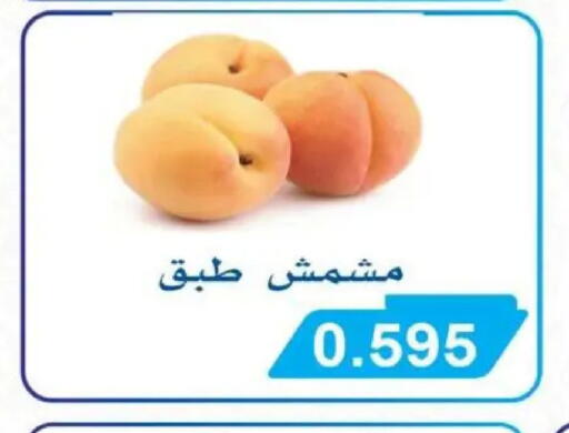 available at جمعية سلوى التعاونية in الكويت - محافظة الأحمدي