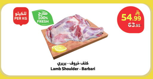 available at الراية in مملكة العربية السعودية, السعودية, سعودية - بيشة