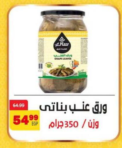 available at Arab DownTown in Egypt - Cairo