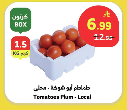 Plum Tomato available at الراية in مملكة العربية السعودية, السعودية, سعودية - جدة