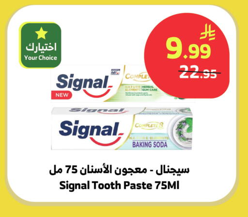 Sage Thyme available at الراية in مملكة العربية السعودية, السعودية, سعودية - المدينة المنورة