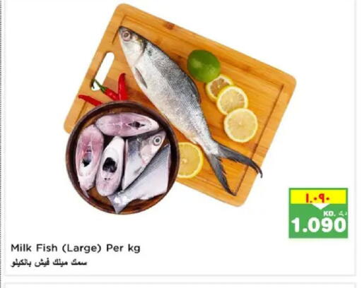 available at Nesto Hypermarkets in Kuwait - Ahmadi Governorate