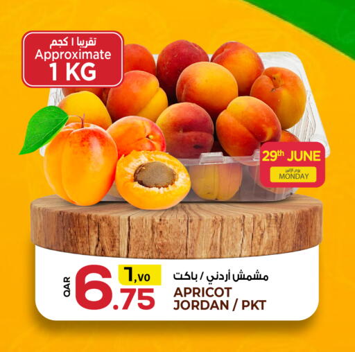 Apricot from Jordan available at Kenz Mini Mart in Qatar - Al Daayen