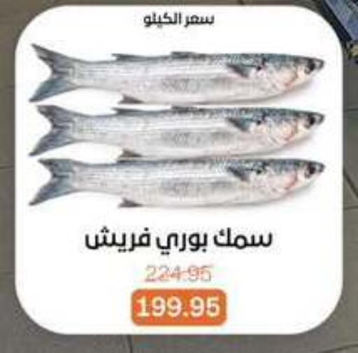 available at Beit El Gomla in Egypt - Cairo