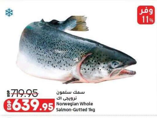 available at لولو هايبرماركت in Egypt