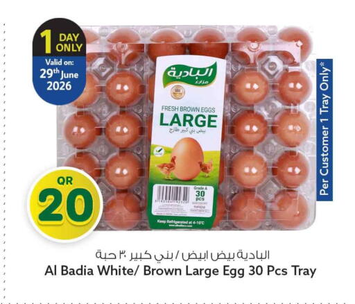 available at سفاري هايبر ماركت in قطر - الدوحة