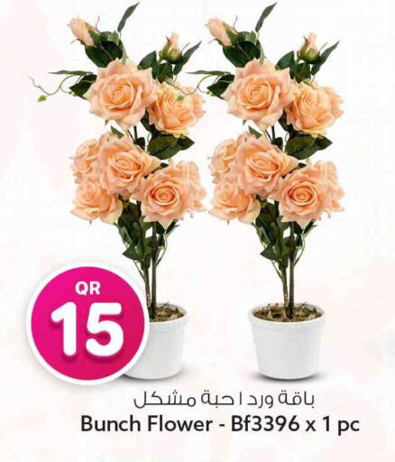 available at سفاري هايبر ماركت in قطر - الوكرة