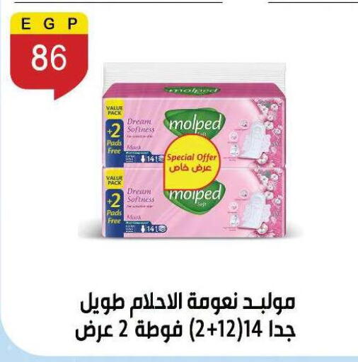 available at Ben Seleman in Egypt - Cairo