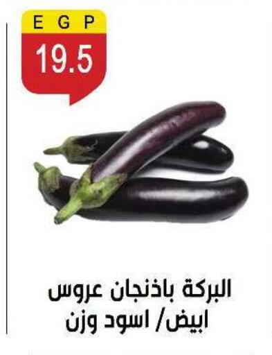 available at Ben Seleman in Egypt - Cairo