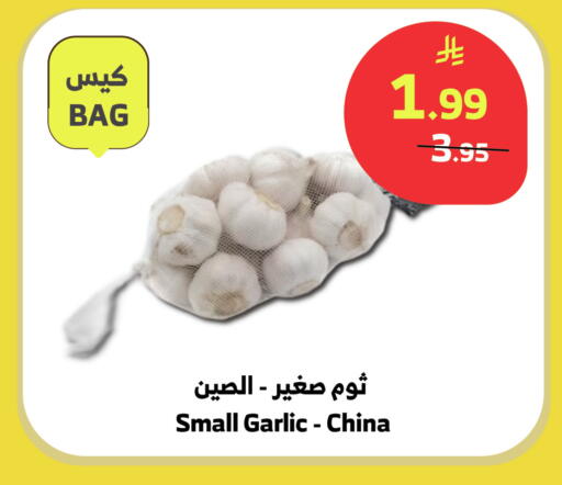 Garlic from China available at Al Raya in KSA, Saudi Arabia, Saudi - Bishah