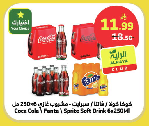 Orange available at الراية in مملكة العربية السعودية, السعودية, سعودية - نجران