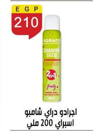 available at Ben Seleman in Egypt - Cairo