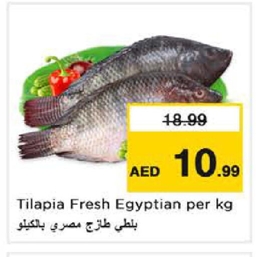 available at نستو هايبرماركت in الإمارات العربية المتحدة , الامارات - الشارقة / عجمان