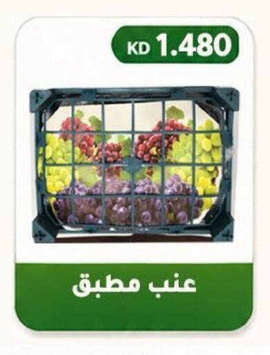 available at Al Fahaheel Co - Op Society in Kuwait - Ahmadi Governorate