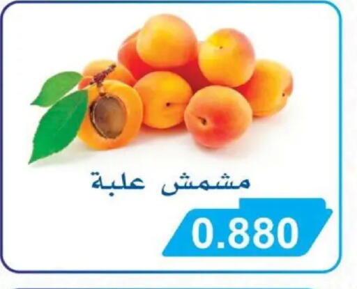 available at جمعية سلوى التعاونية in الكويت - محافظة الأحمدي