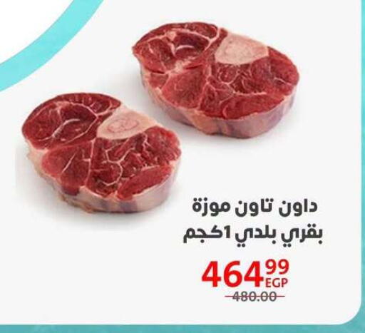 available at Arab DownTown in Egypt - Cairo