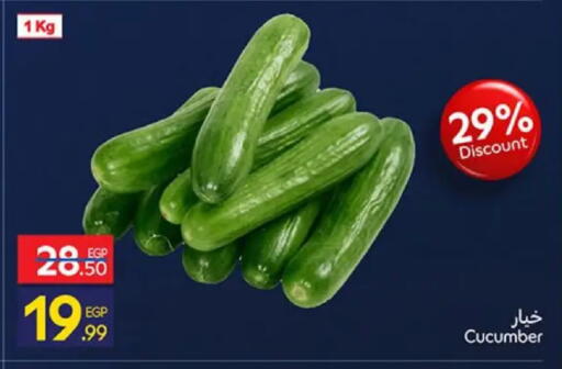Cucumber available at كارفور in Egypt - القاهرة
