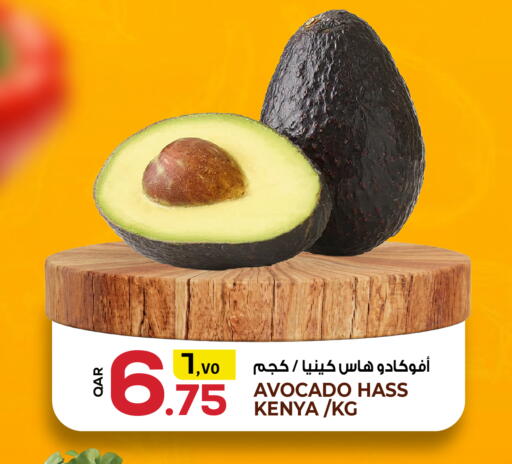 Avocado from Kenya available at Kenz Mini Mart in Qatar - Al Daayen