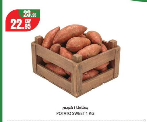 Potato from Egypt available at Géant Egypt in Egypt - Cairo