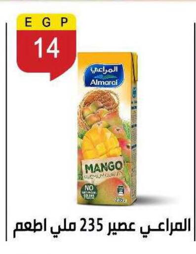 Mango available at Ben Seleman in Egypt - Cairo