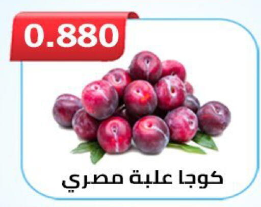 available at  Al Ardhiya coop  in Kuwait - Ahmadi Governorate