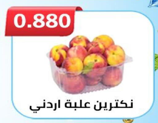 available at  Al Ardhiya coop  in Kuwait - Ahmadi Governorate