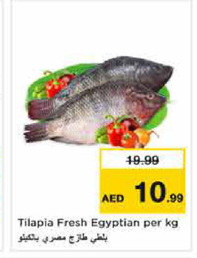available at نستو هايبرماركت in الإمارات العربية المتحدة , الامارات - أبو ظبي
