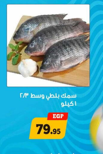 available at أولاد رجب in Egypt - القاهرة