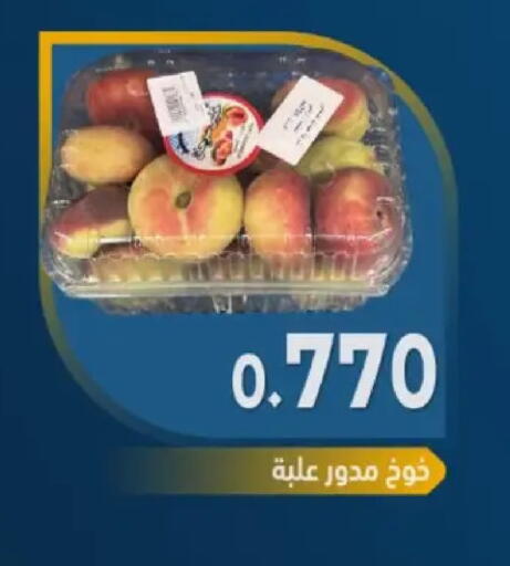 available at جمعية مدينة صباح الأحمد التعاونية in الكويت - محافظة الأحمدي