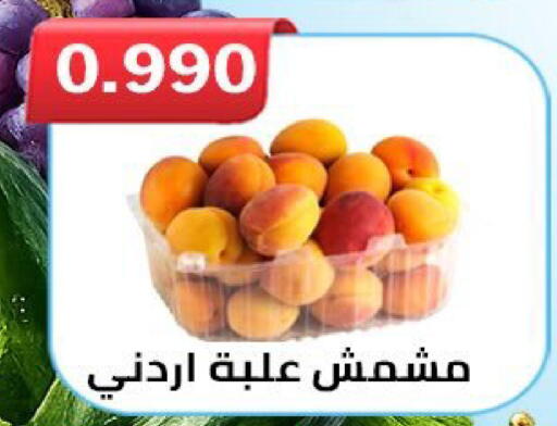 available at  Al Ardhiya coop  in Kuwait - Ahmadi Governorate