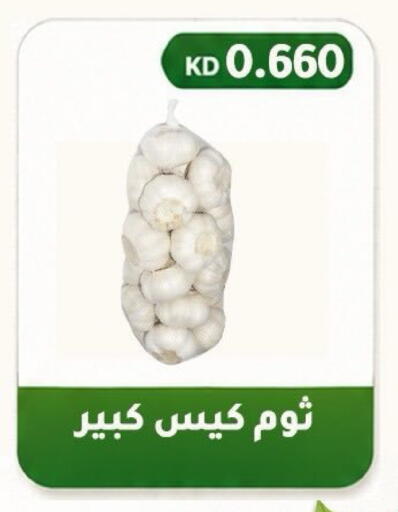 available at Al Fahaheel Co - Op Society in Kuwait - Ahmadi Governorate