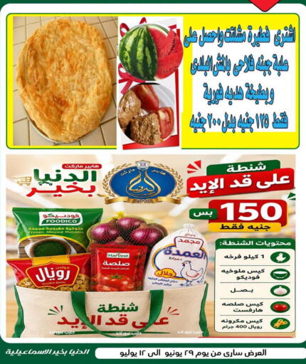 available at الدنيا بخير in Egypt - القاهرة