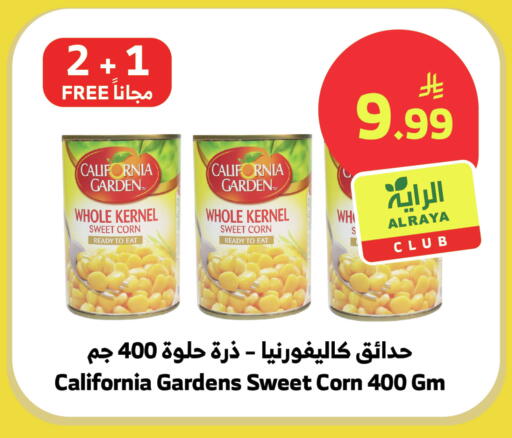 available at Al Raya in KSA, Saudi Arabia, Saudi - Bishah
