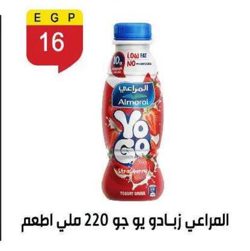 Strawberry available at Ben Seleman in Egypt - Cairo