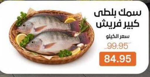 available at Beit El Gomla in Egypt - Cairo
