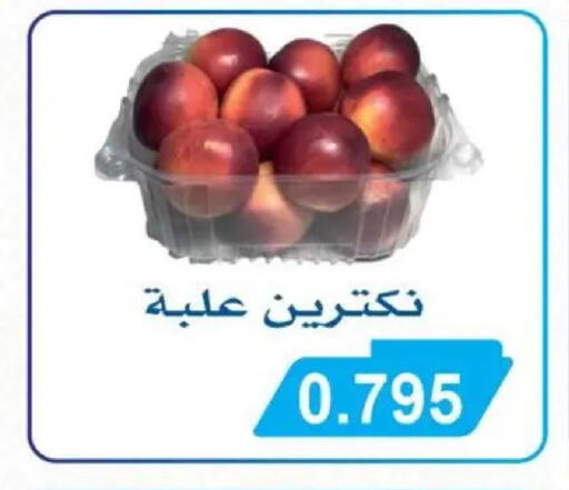 available at جمعية سلوى التعاونية in الكويت - محافظة الأحمدي