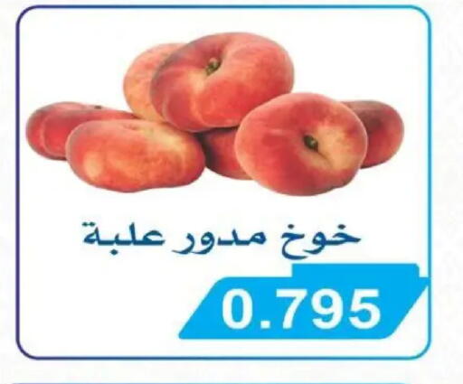 available at جمعية سلوى التعاونية in الكويت - محافظة الأحمدي