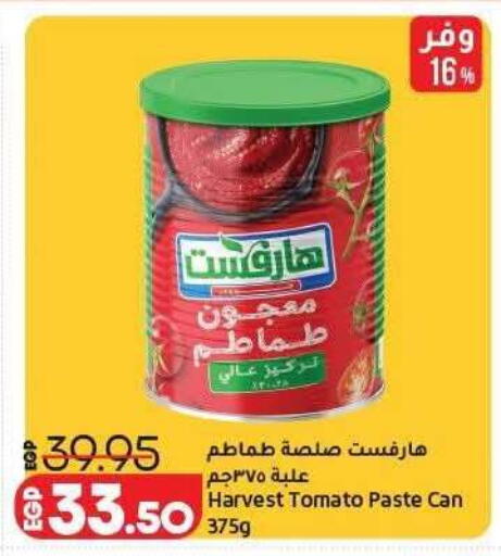 Tomato available at لولو هايبرماركت in Egypt - القاهرة