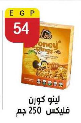 available at Ben Seleman in Egypt - Cairo