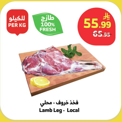 available at الراية in مملكة العربية السعودية, السعودية, سعودية - بيشة