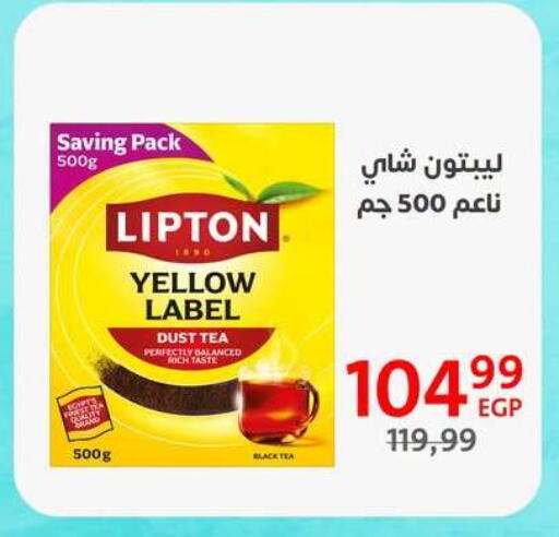 available at Arab DownTown in Egypt - Cairo