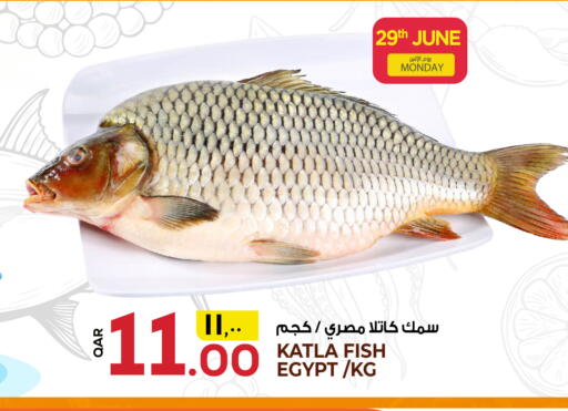 available at Kenz Mini Mart in Qatar - Al Daayen