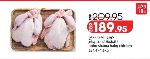 available at لولو هايبرماركت in Egypt - القاهرة