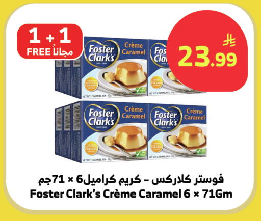 available at Al Raya in KSA, Saudi Arabia, Saudi - Bishah