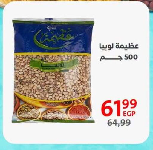 available at Arab DownTown in Egypt - Cairo