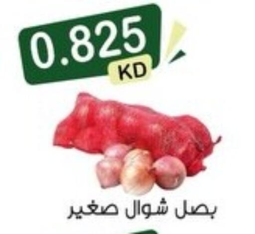 available at Mubarak Al-Kabeer & Al-Qurain Co-Operative Society in Kuwait - Kuwait City