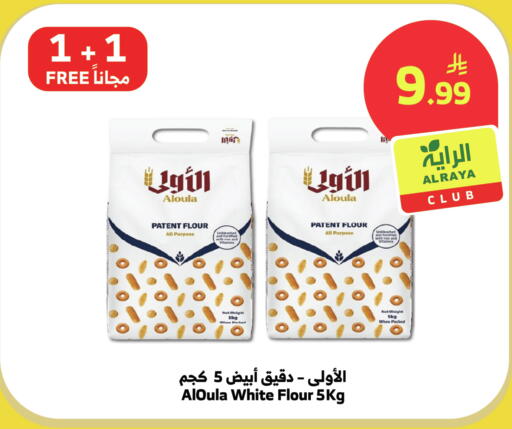 available at Al Raya in KSA, Saudi Arabia, Saudi - Bishah