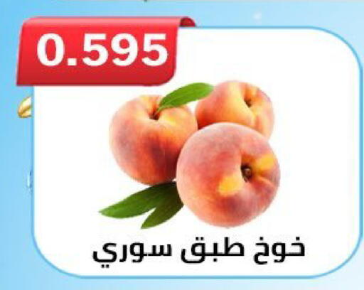 available at  Al Ardhiya coop  in Kuwait - Ahmadi Governorate