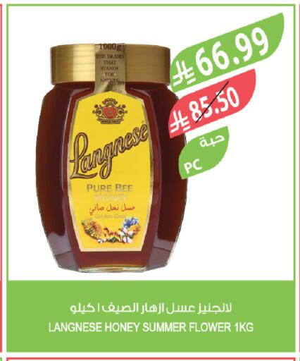available at المزرعة in مملكة العربية السعودية, السعودية, سعودية - ينبع
